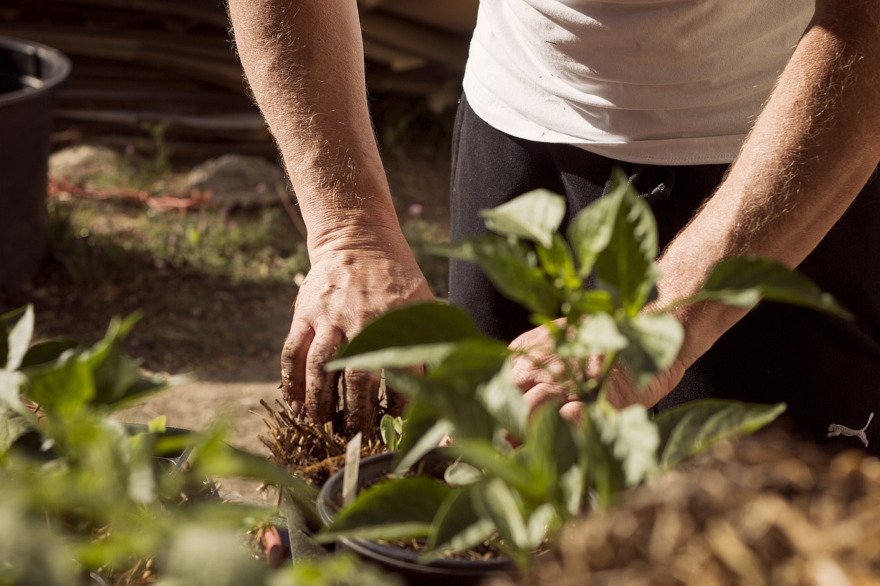 gardening trends